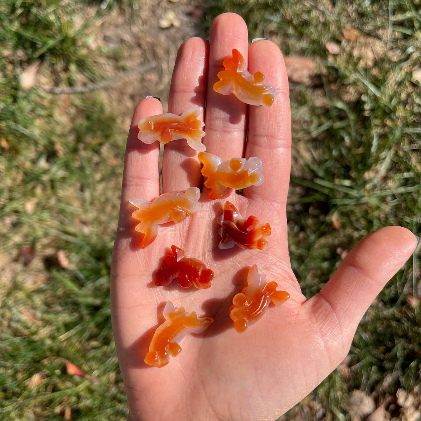 Micro Red Agate Goldfish