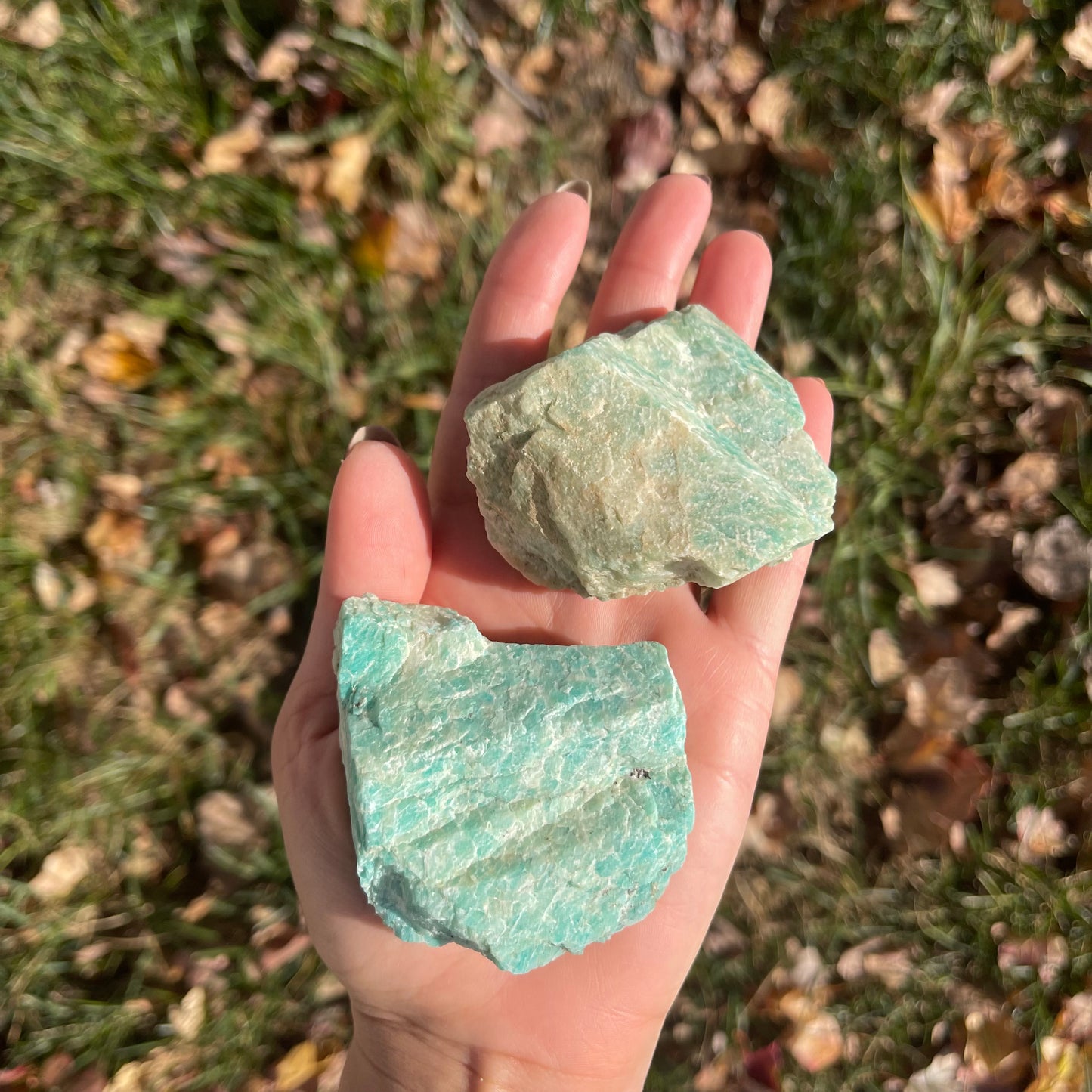 Raw Natural Amazonite Crystal [locally sourced]