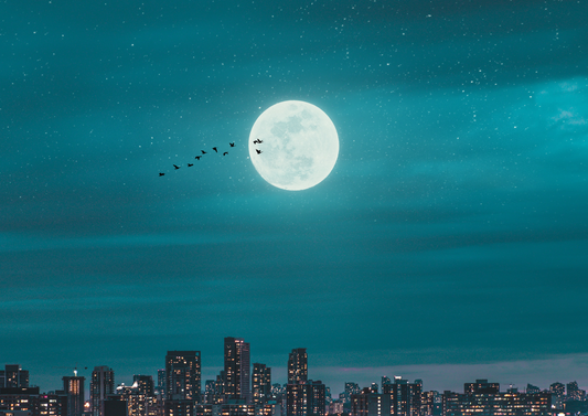 Powerful Full Moon Rituals You Can Try at Home
