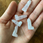 Micro Phallus 1 inch