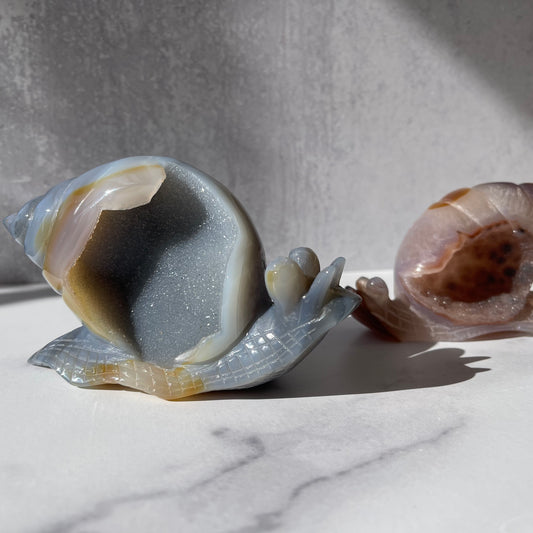 Agate Geode Snail Collection