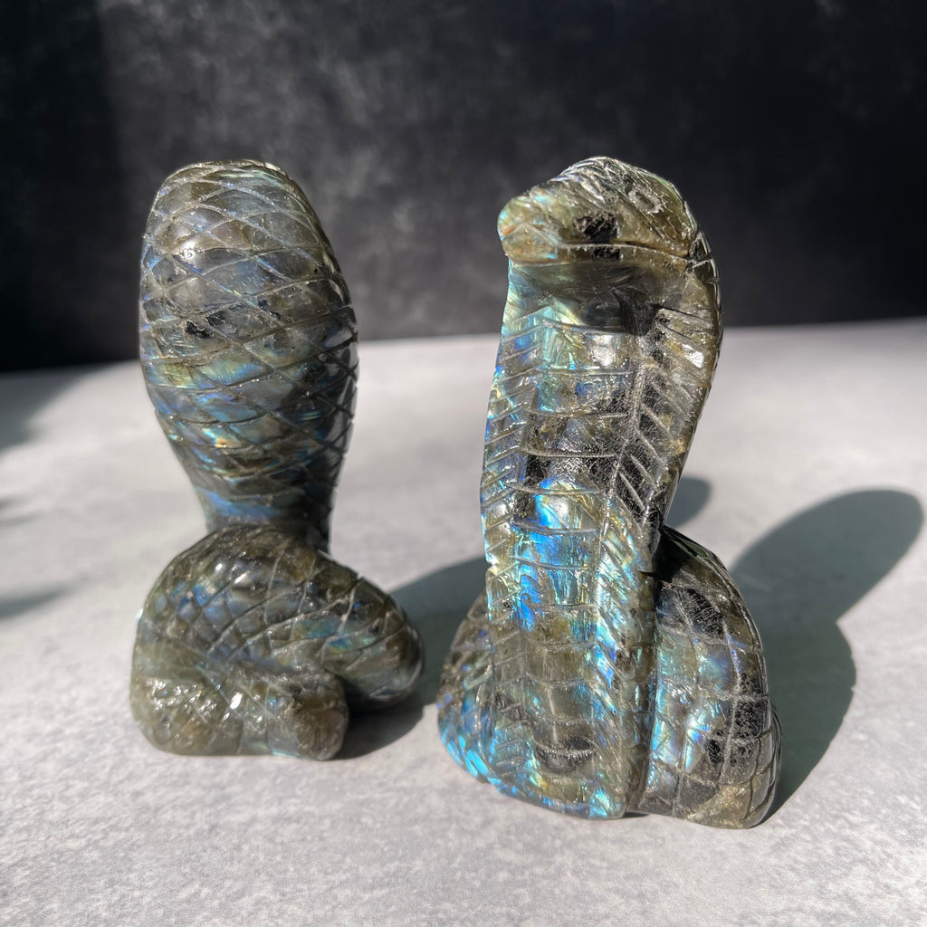 Crystal Cobra Snake