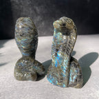 Crystal Cobra Snake