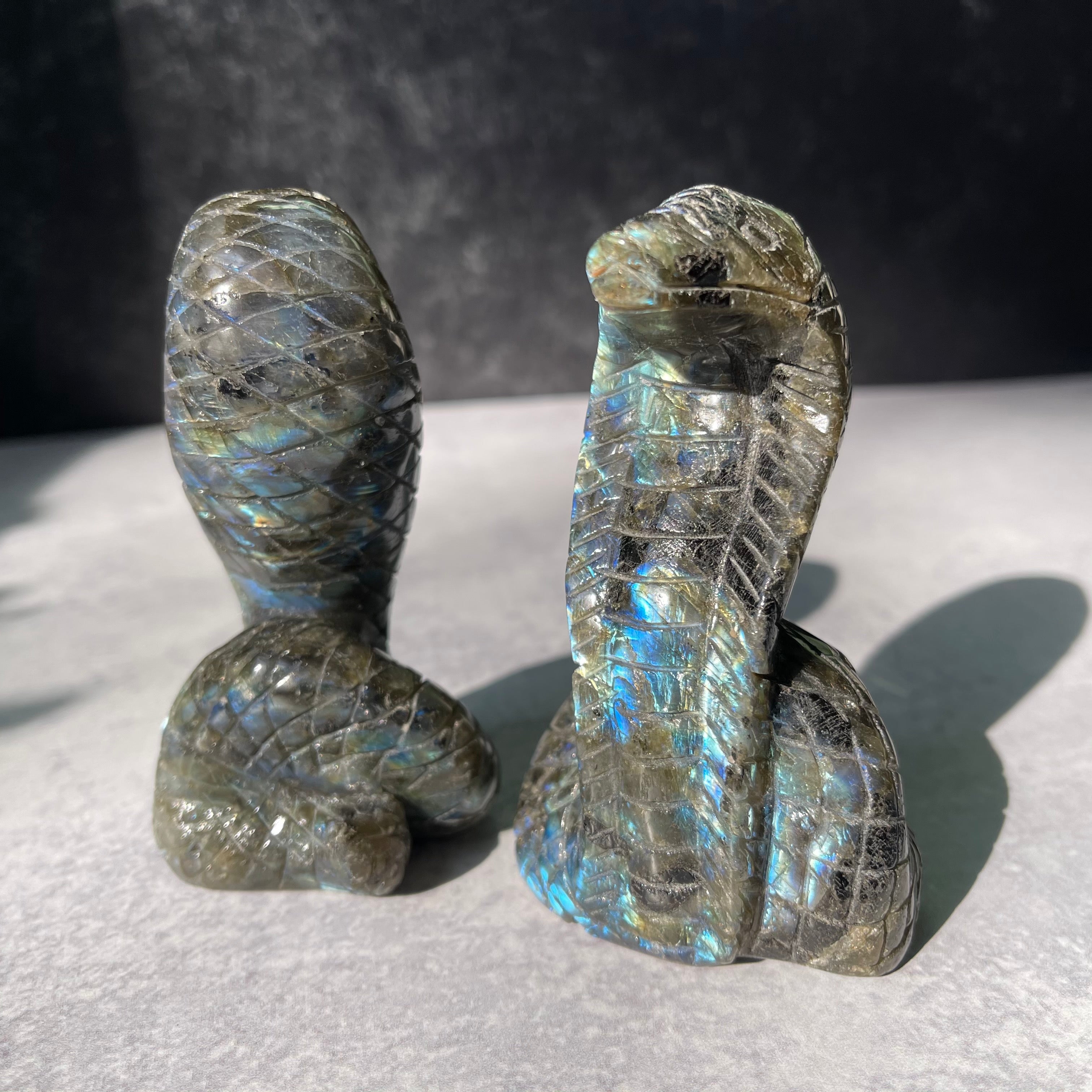 Crystal Cobra Snake