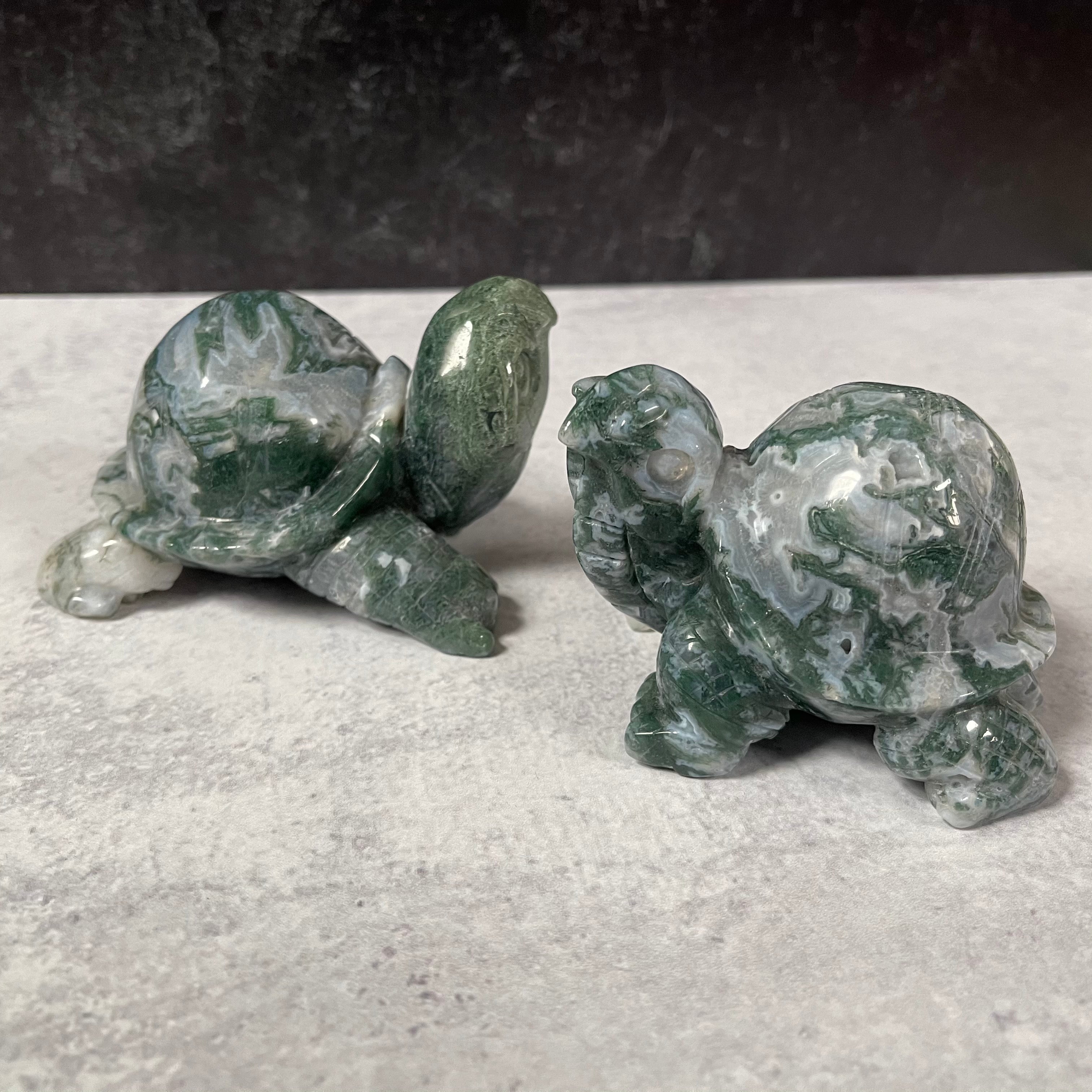 Large Moss Agate Turtle