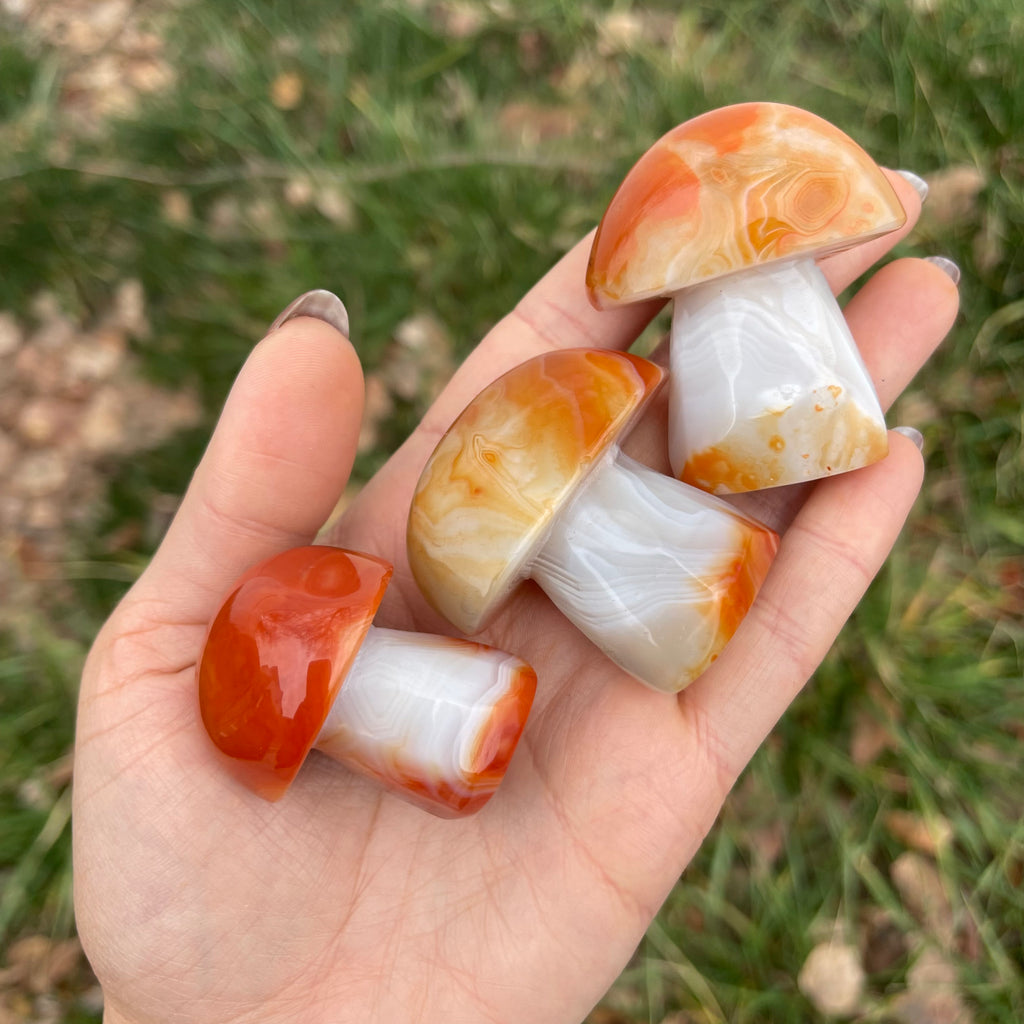 Carnelian Sardonyx Mushroom