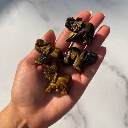 Mini Tigers Eye Elephant