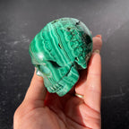 Malachite Skull Collection