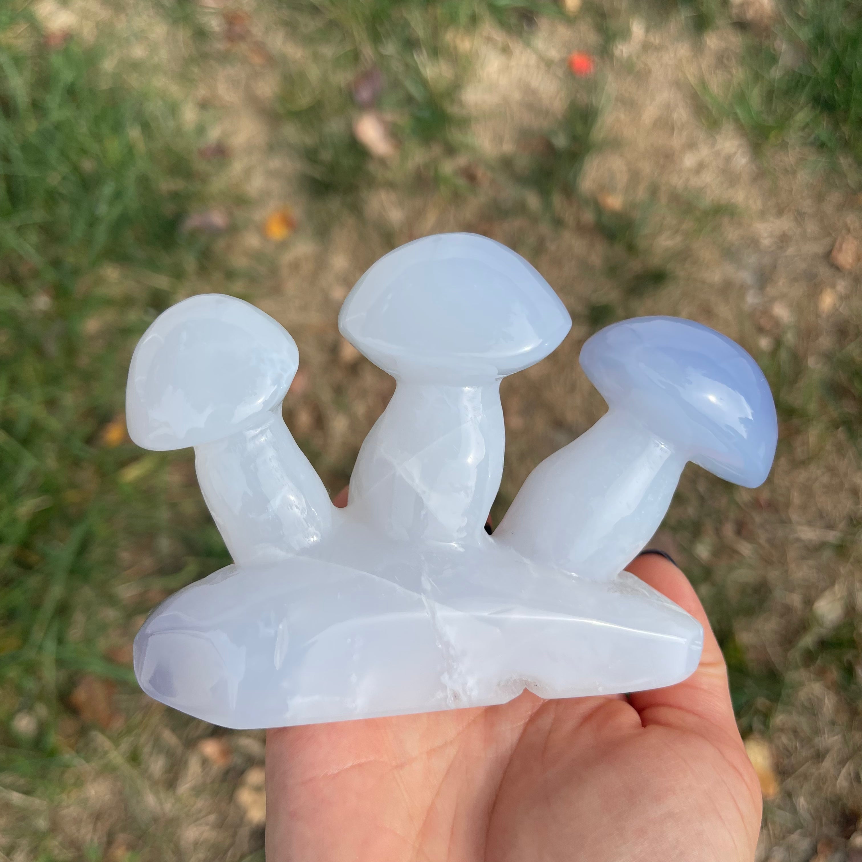 Blue Chalcedony Mushroom Collection