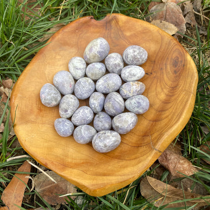 Small Polished Lepidolite Egg