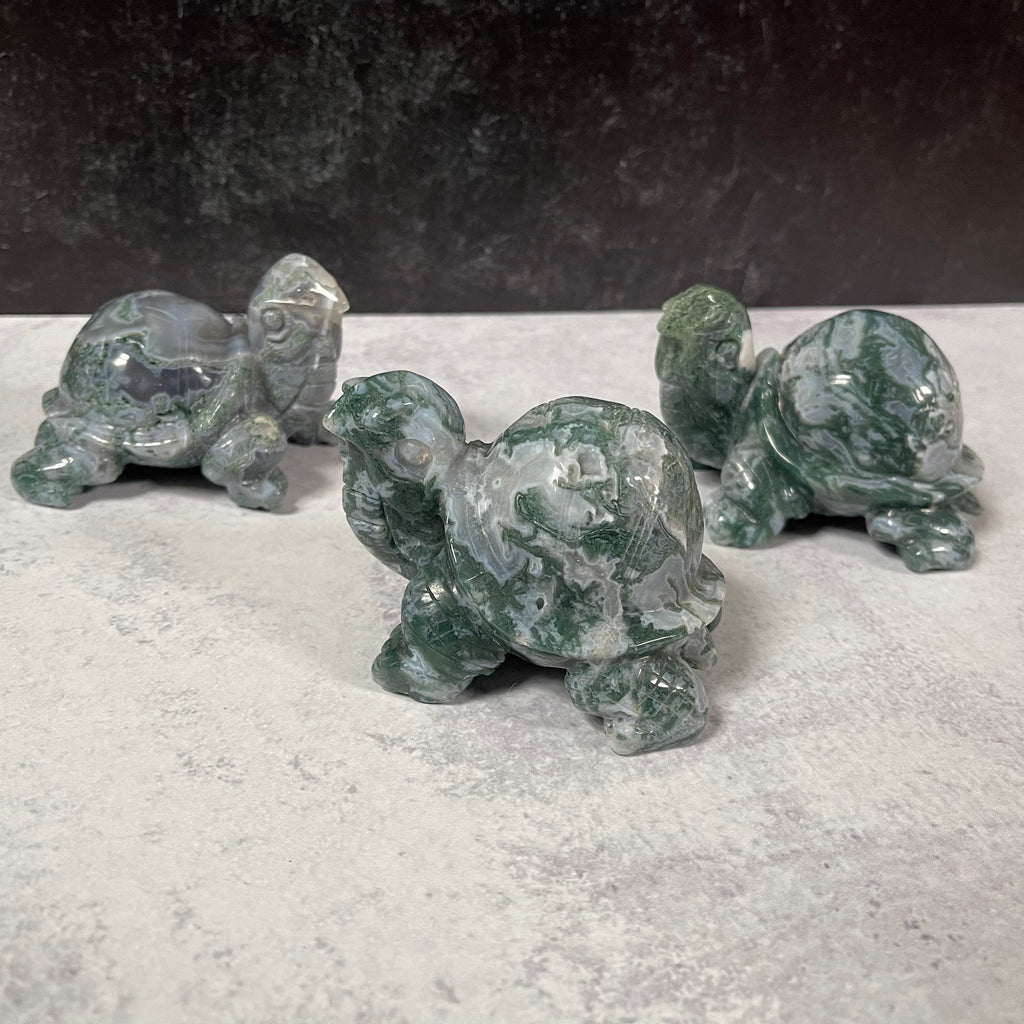 Large Moss Agate Turtle