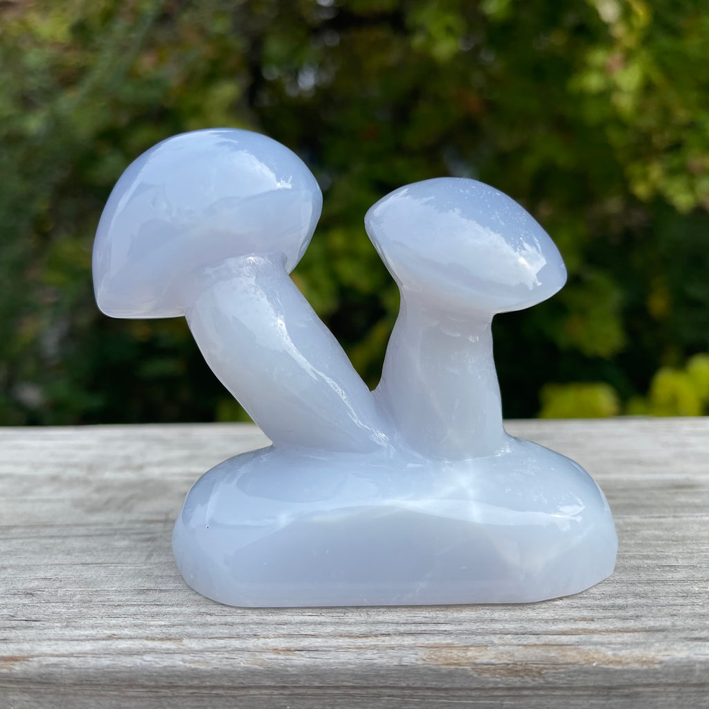 Blue Chalcedony Mushroom Collection