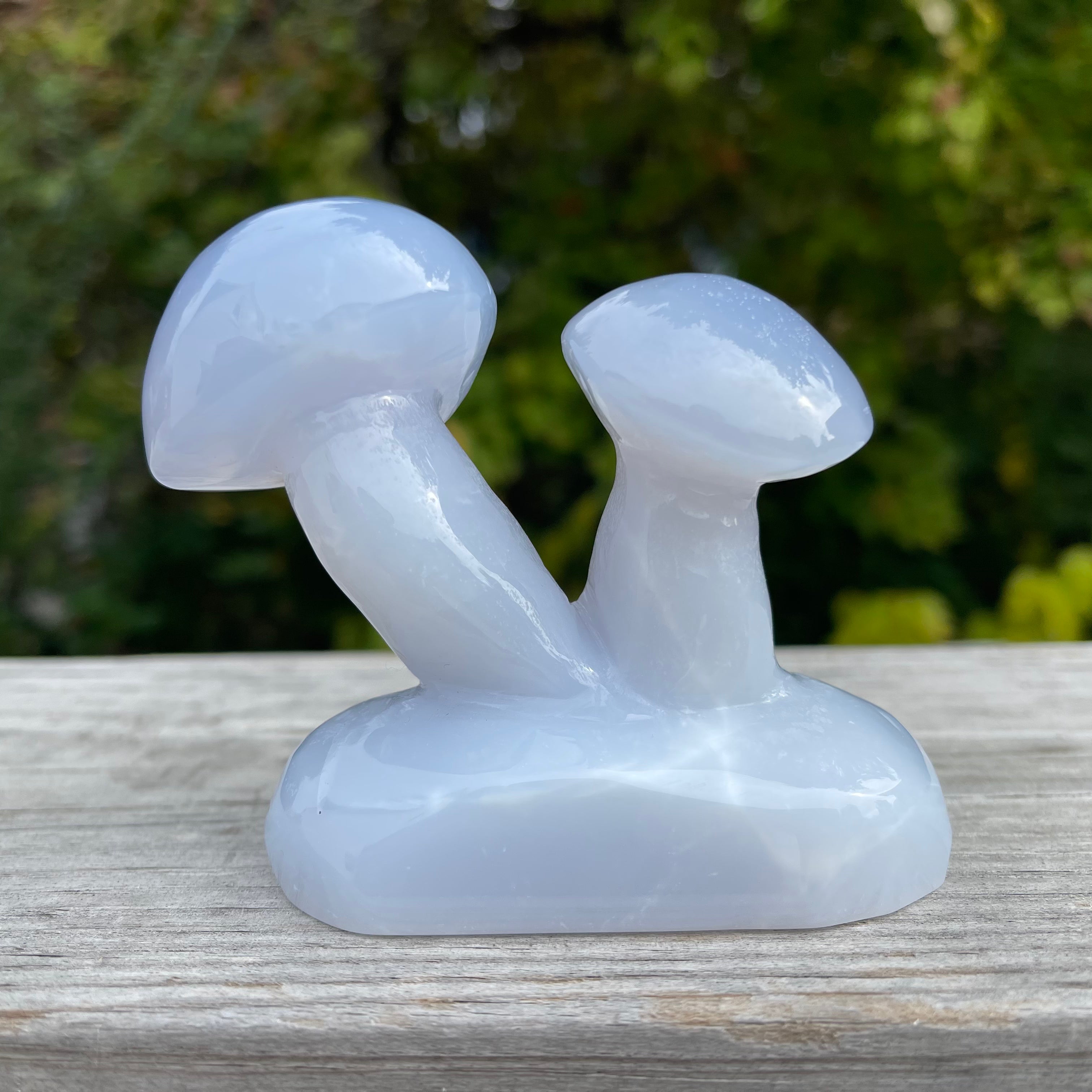 Blue Chalcedony Mushroom Collection