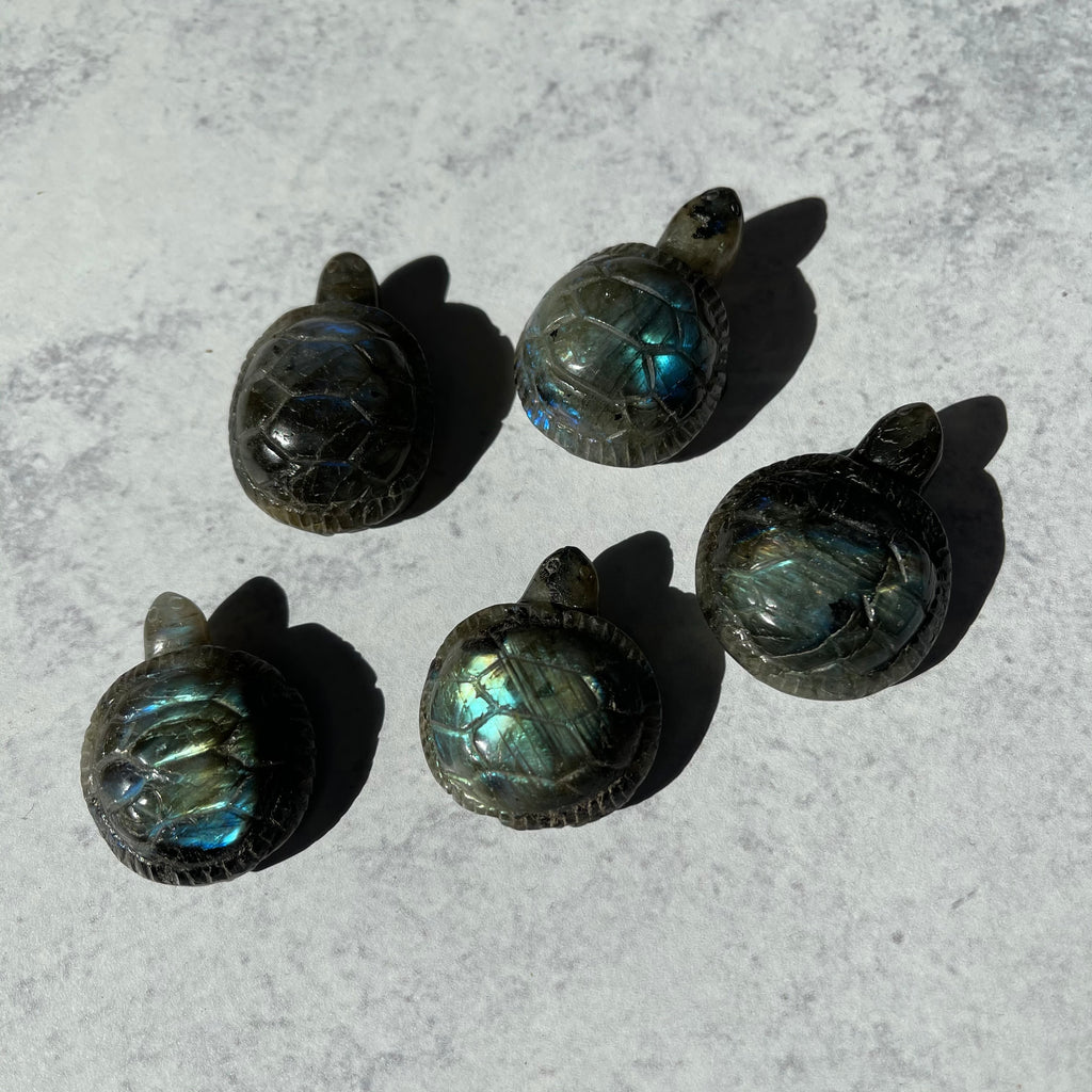 Small Labradorite Turtle
