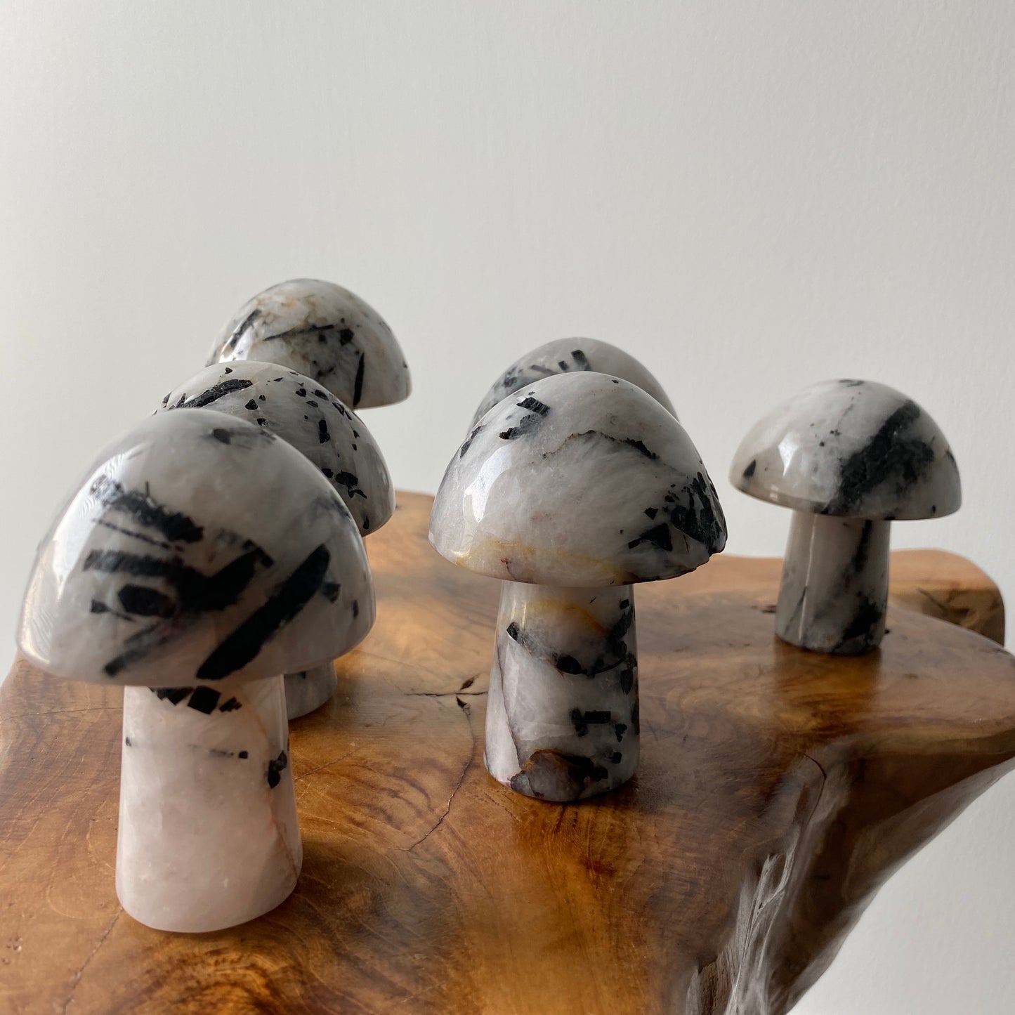 Black Tourmaline in Quartz Mushroom