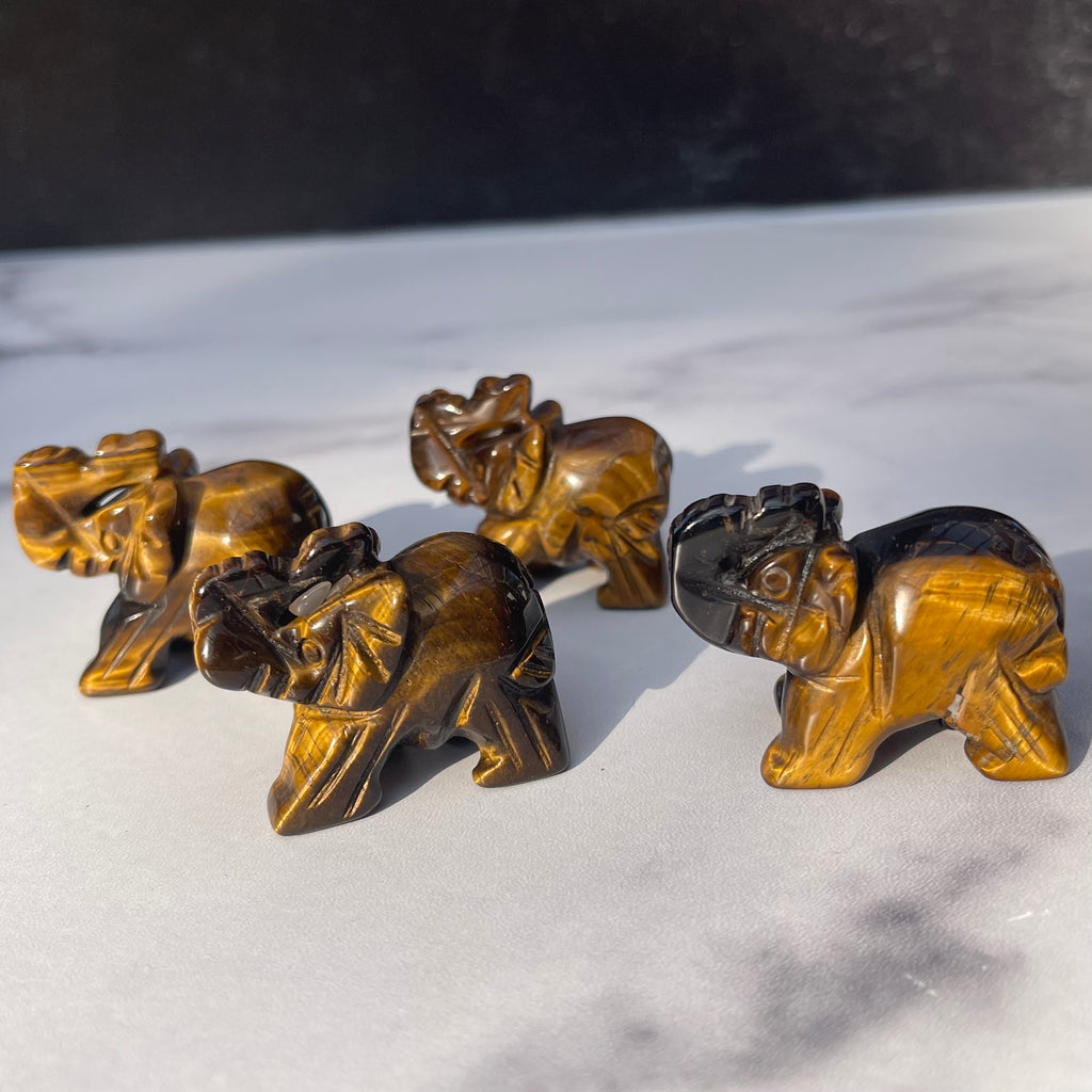Mini Tigers Eye Elephant