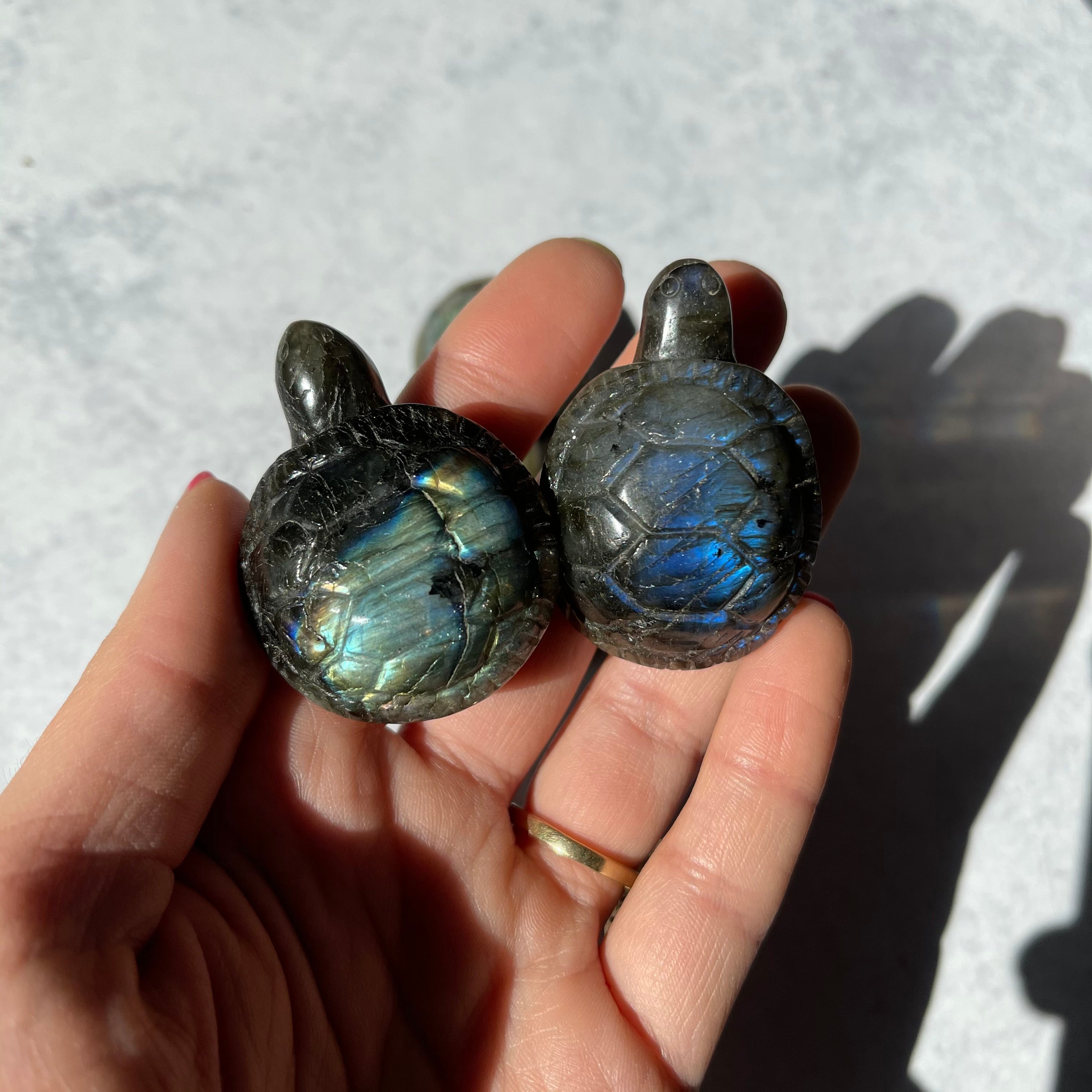 Small Labradorite Turtle
