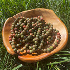 Unakite Beaded Bracelet