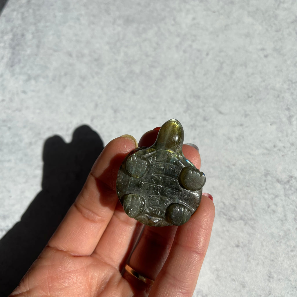 Small Labradorite Turtle