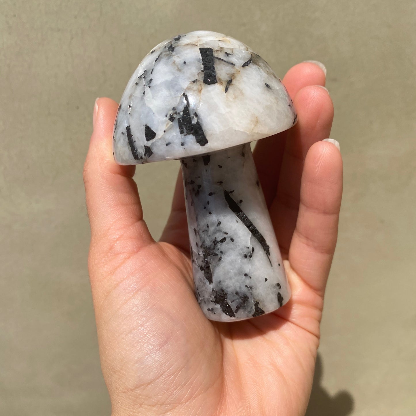 Black Tourmaline in Quartz Mushroom