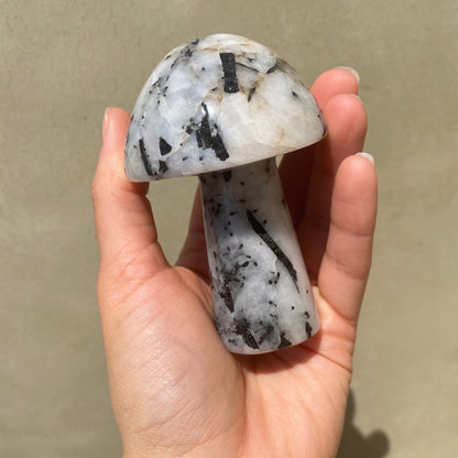 Black Tourmaline in Quartz Mushroom