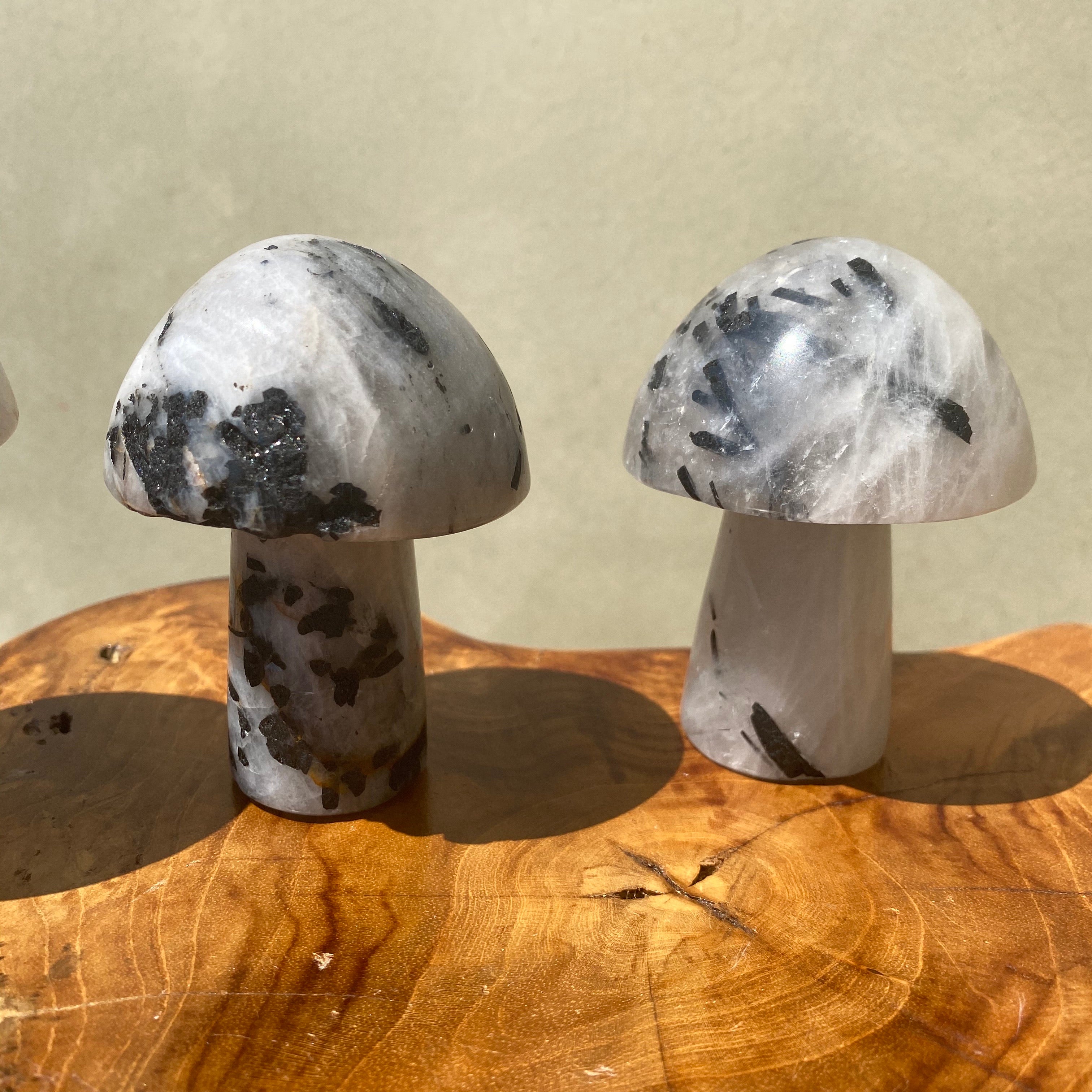 Black Tourmaline in Quartz Mushroom