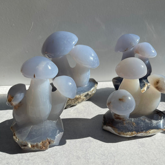 Blue Chalcedony Mushroom Collection