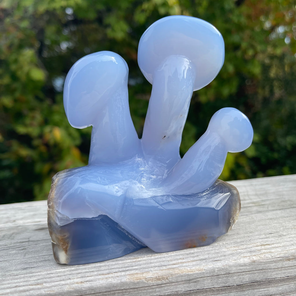 Blue Chalcedony Mushroom Collection