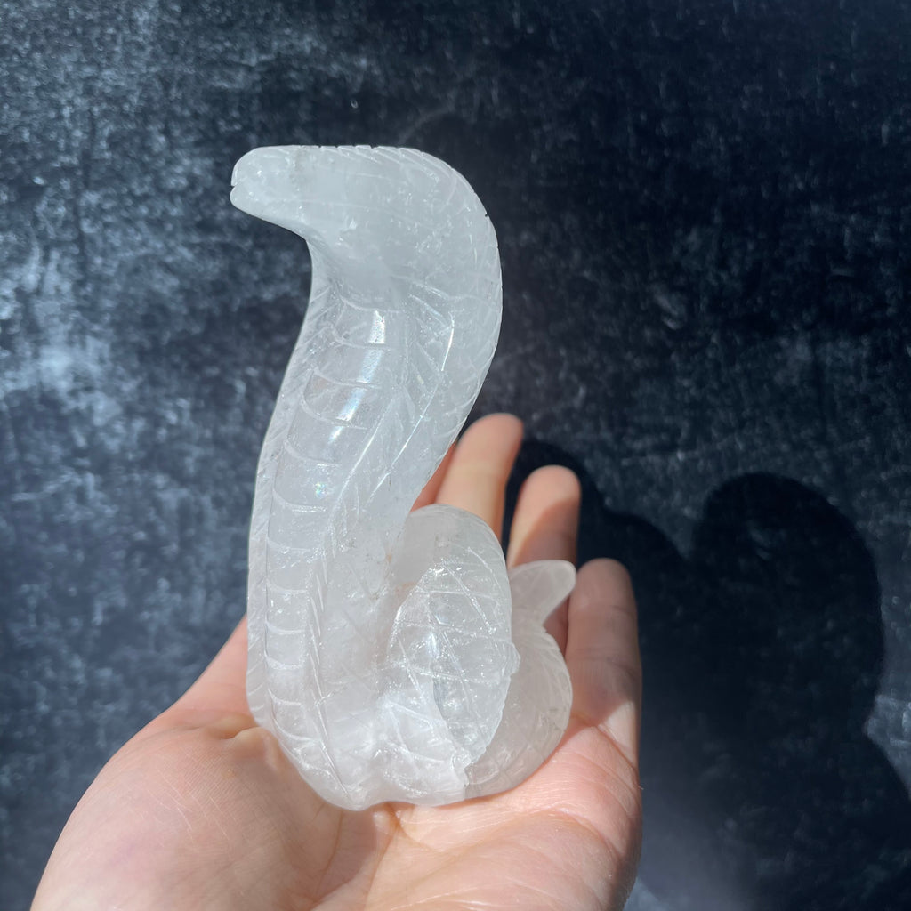 Crystal Cobra Snake