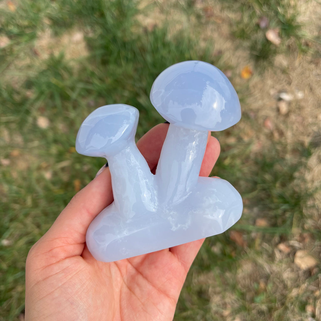 Blue Chalcedony Mushroom Collection