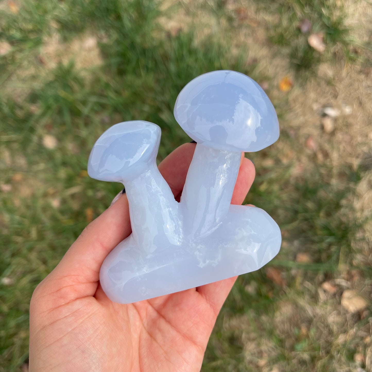 Blue Chalcedony Mushroom Collection