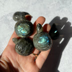 Small Labradorite Turtle
