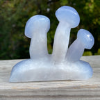 Blue Chalcedony Mushroom Collection