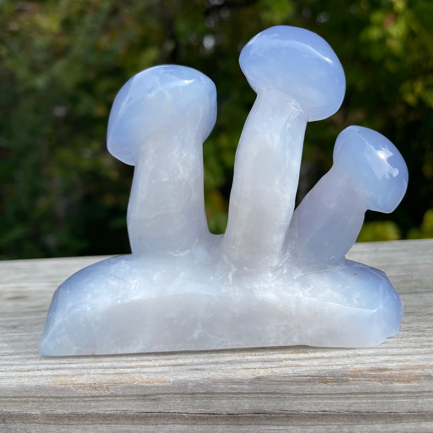 Blue Chalcedony Mushroom Collection