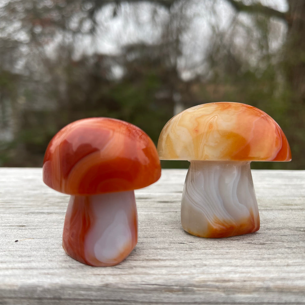 Carnelian Sardonyx Mushroom