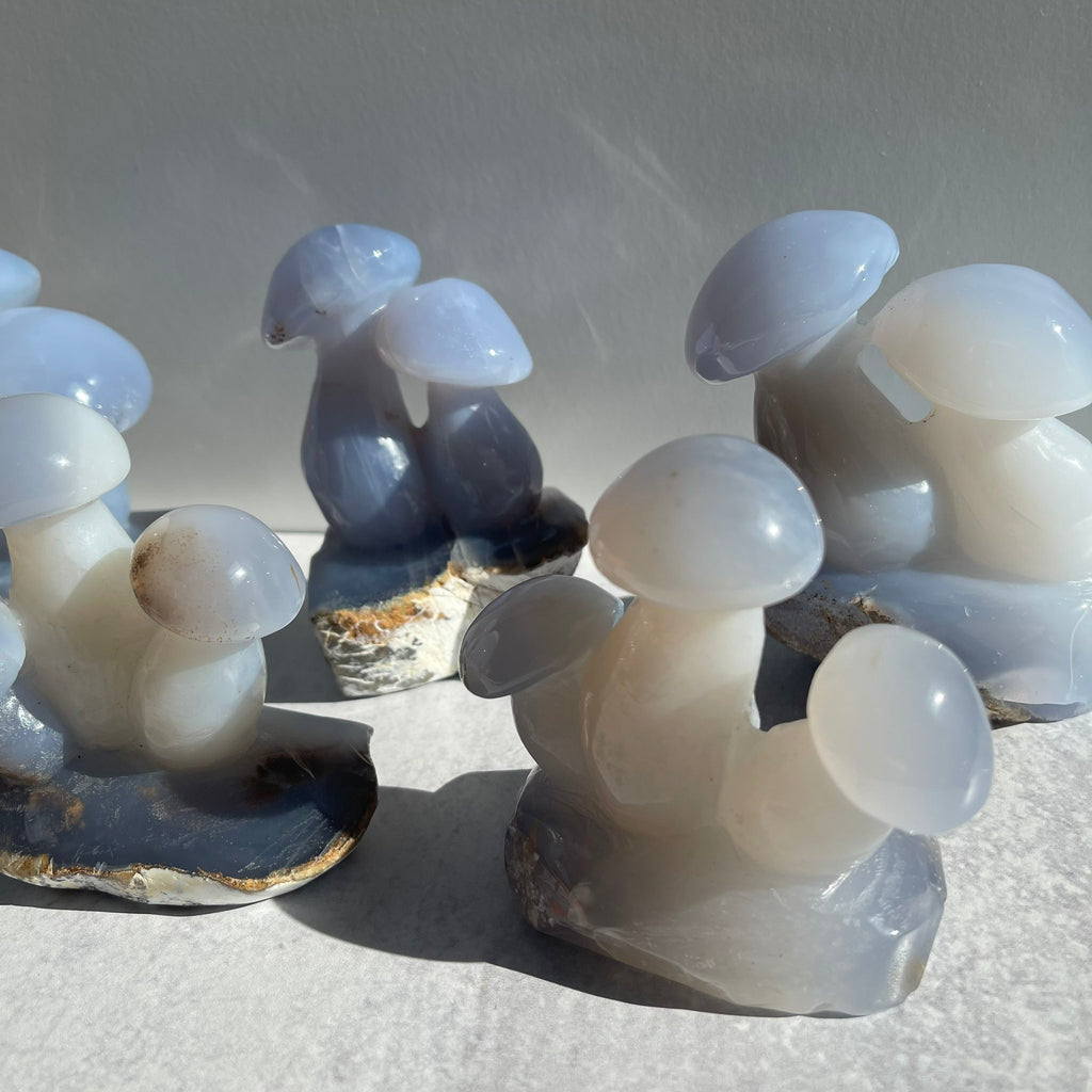 Blue Chalcedony Mushroom Collection