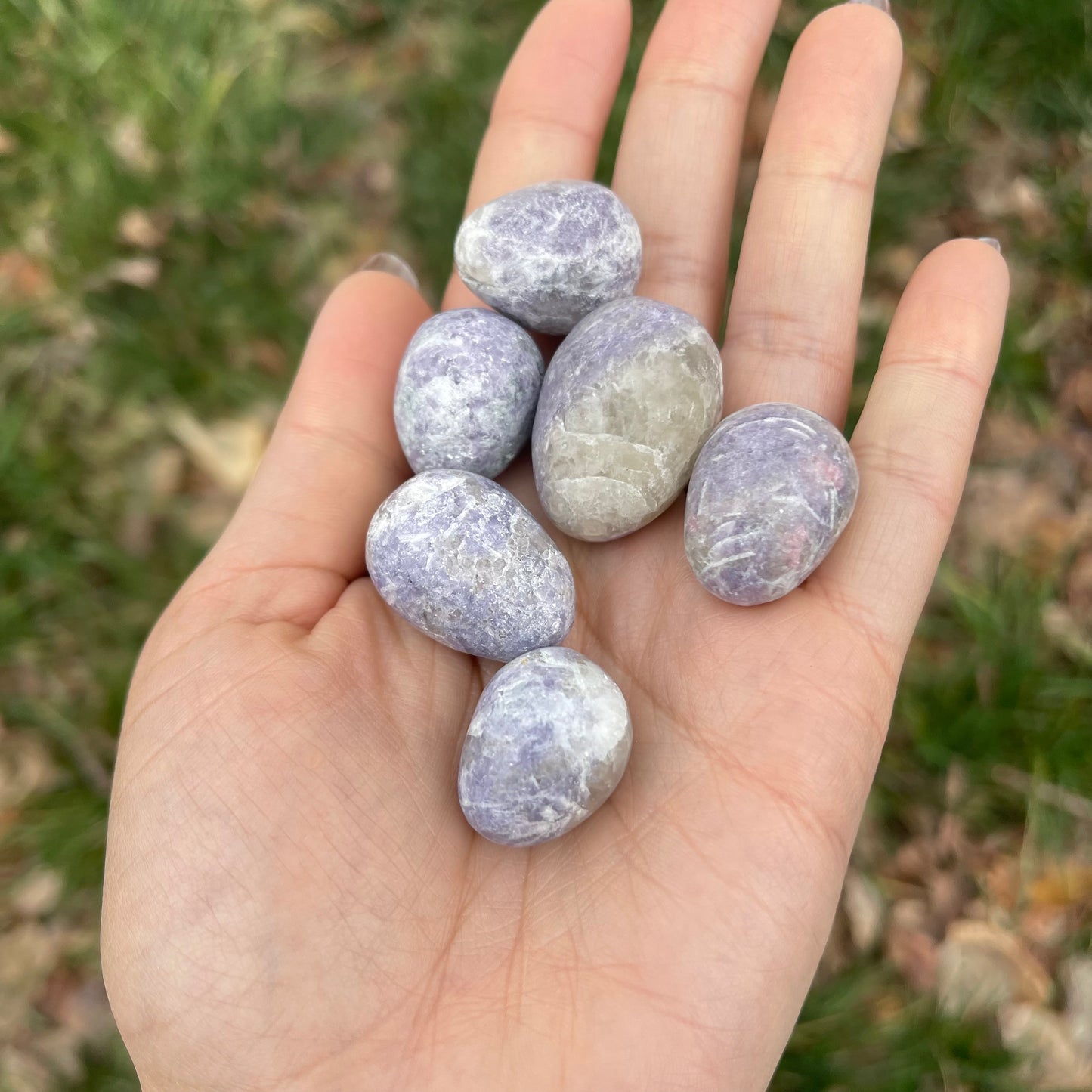 Small Polished Lepidolite Egg