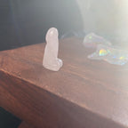Micro Phallus 1 inch