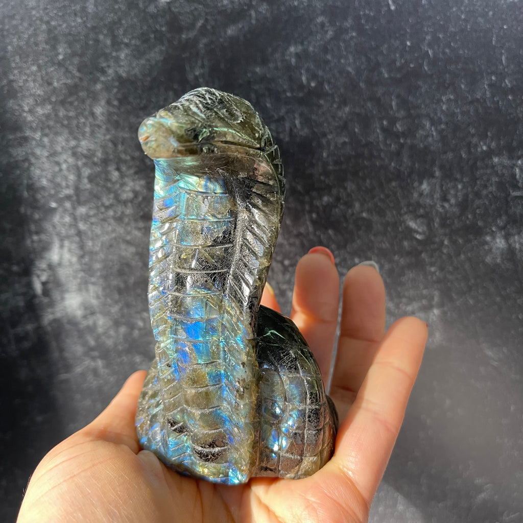 Crystal Cobra Snake