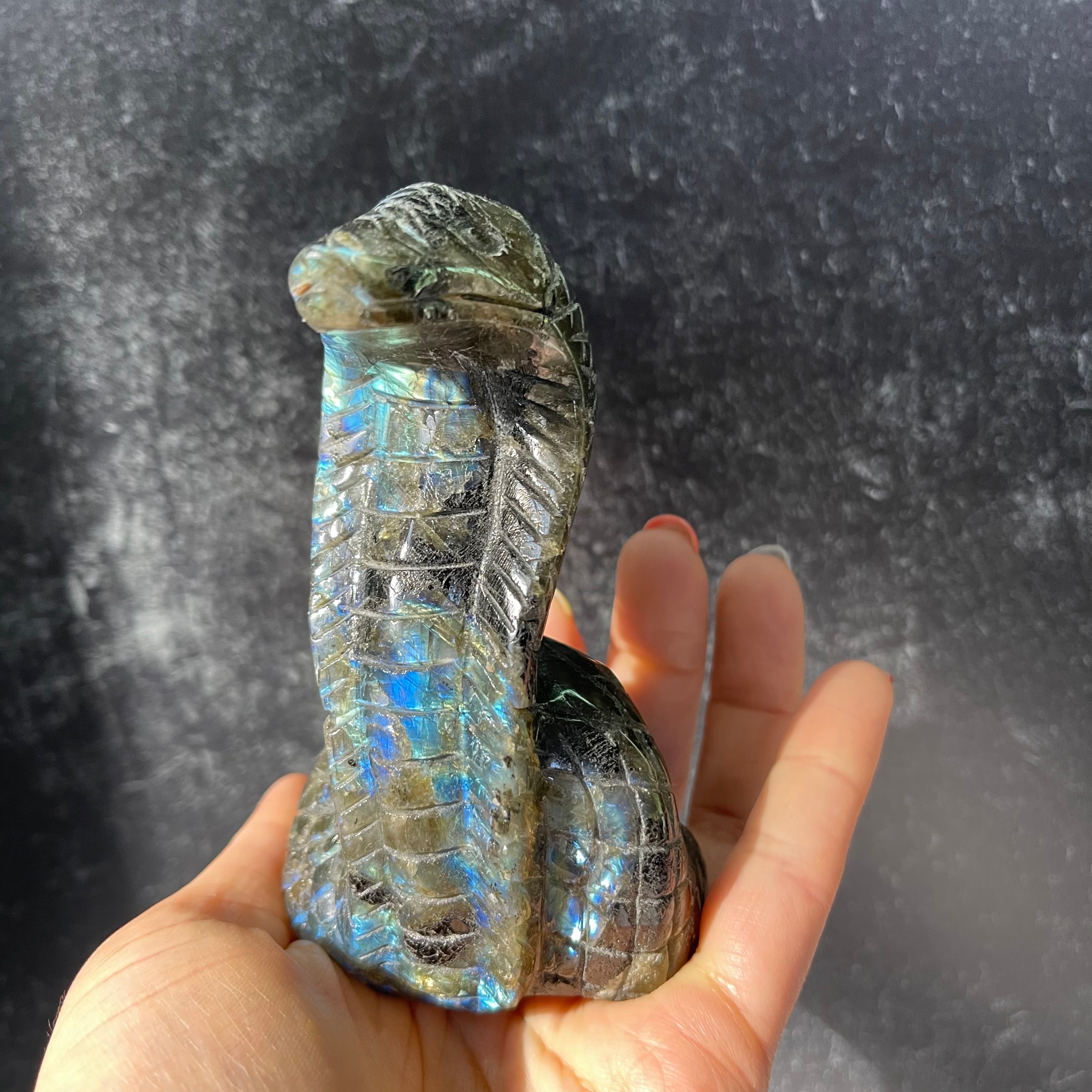 Crystal Cobra Snake