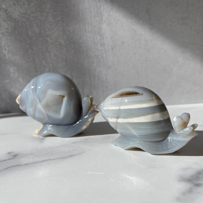 Agate Geode Snail Collection