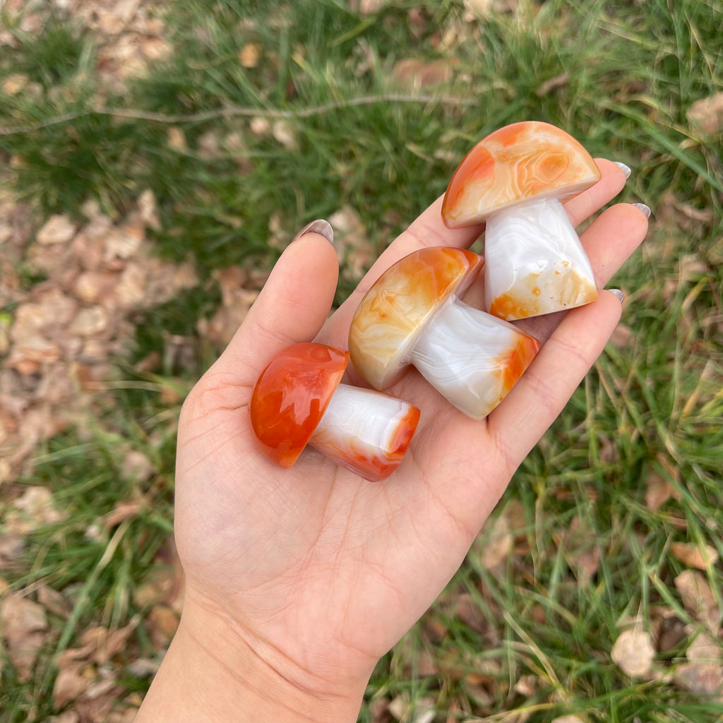 Carnelian Sardonyx Mushroom