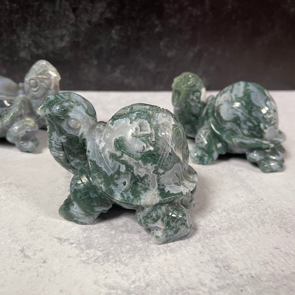 Large Moss Agate Turtle