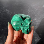 Malachite Skull Collection