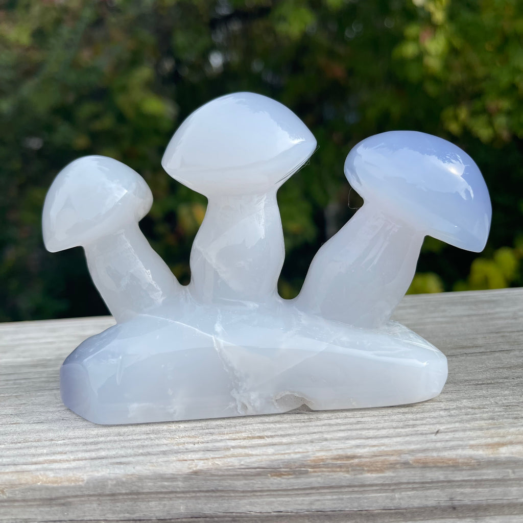 Blue Chalcedony Mushroom Collection