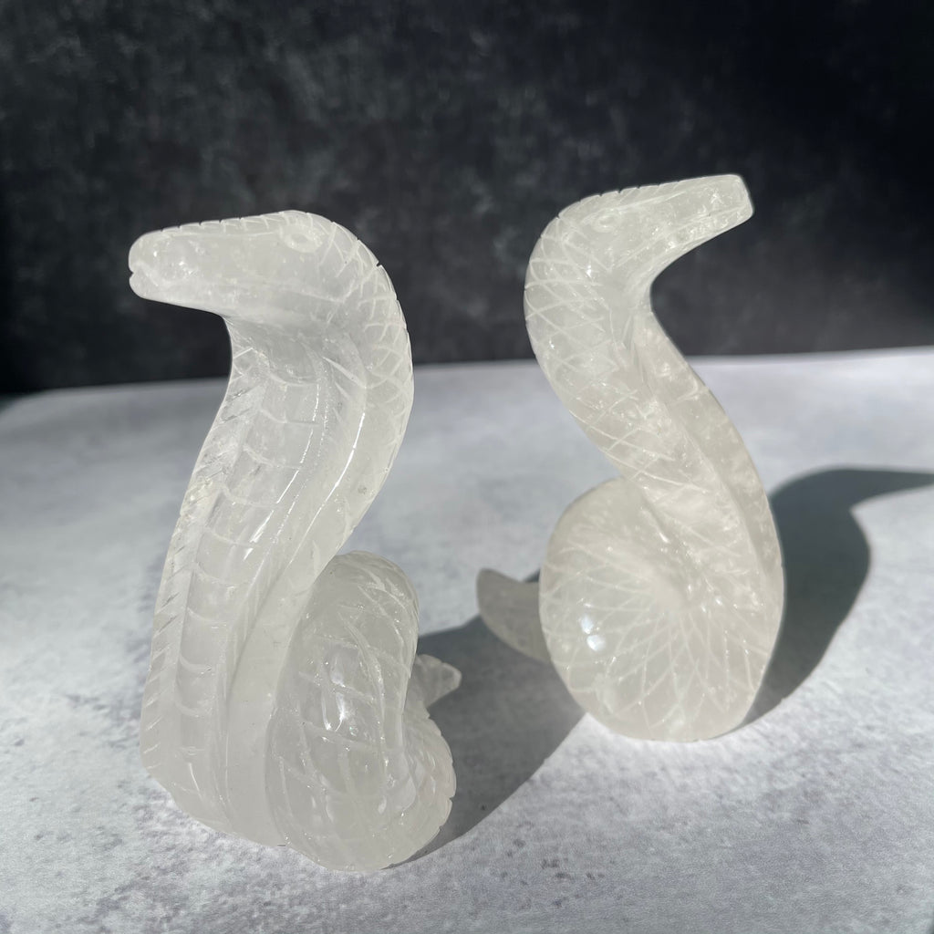 Crystal Cobra Snake