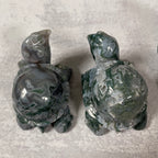 Large Moss Agate Turtle