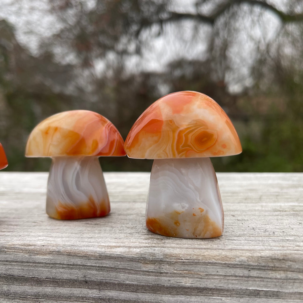 Carnelian Sardonyx Mushroom