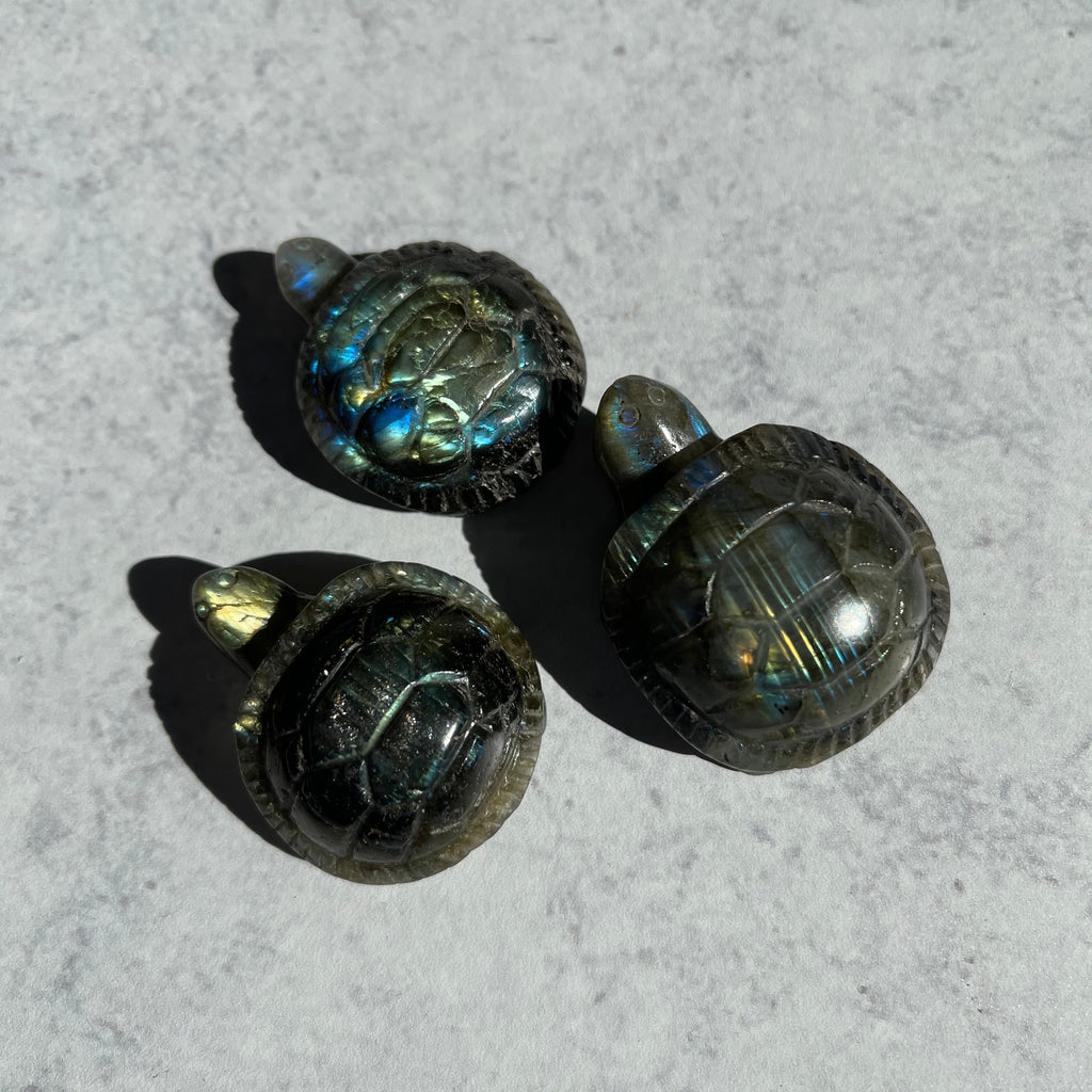 Small Labradorite Turtle