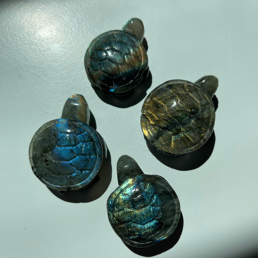 Small Labradorite Turtle